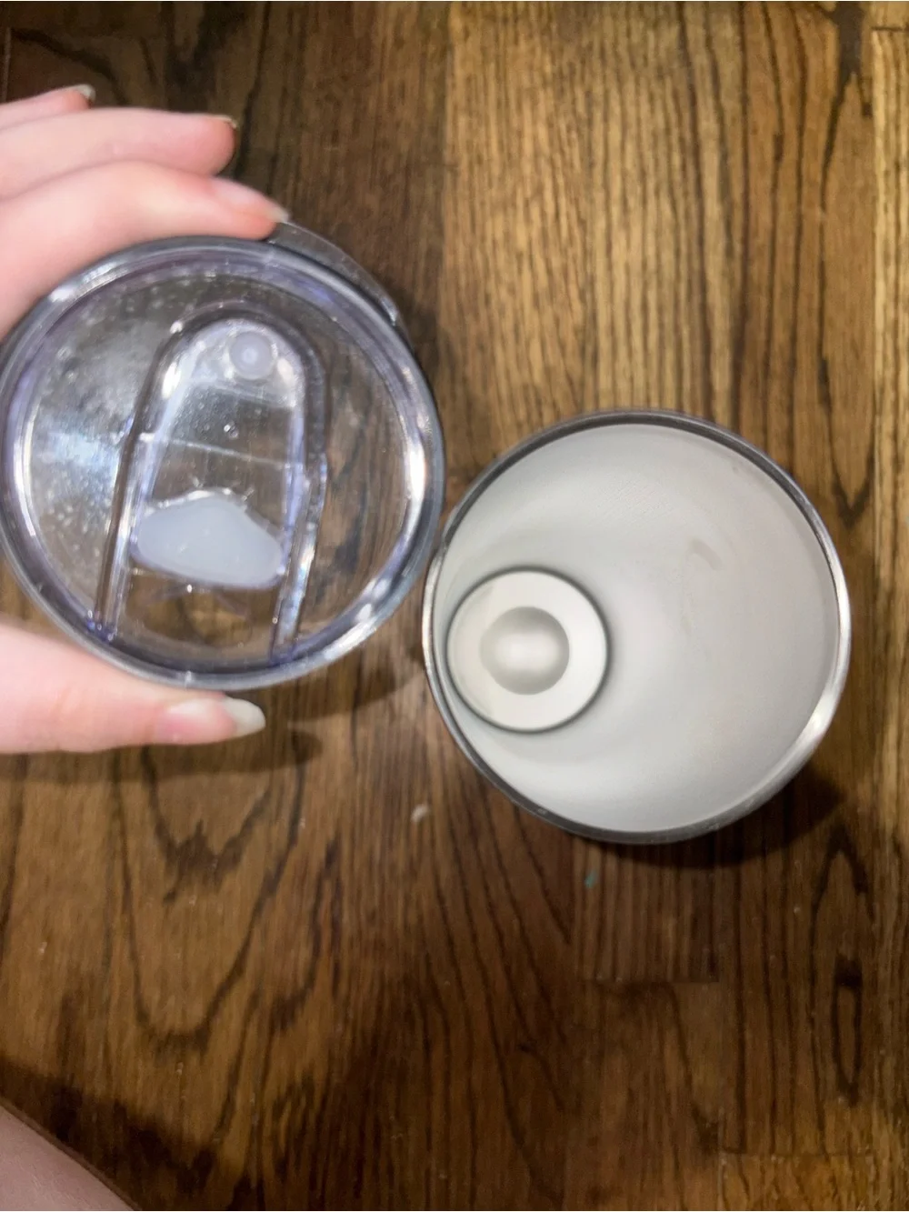 Border Collie Dog Stainless Steel 20 oz Tumbler